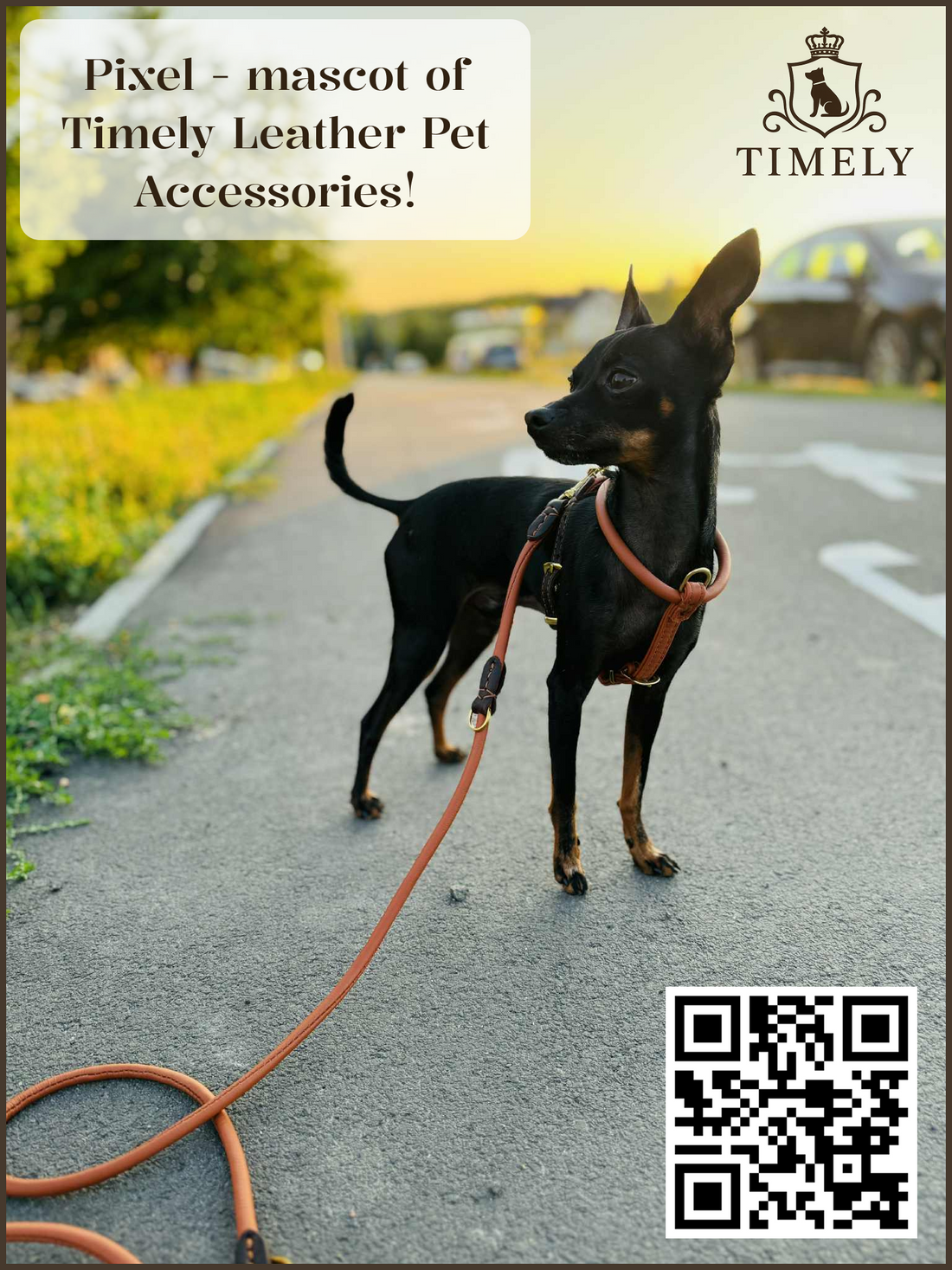 Meet Pixel – the New Mascot of Timely! 🐾