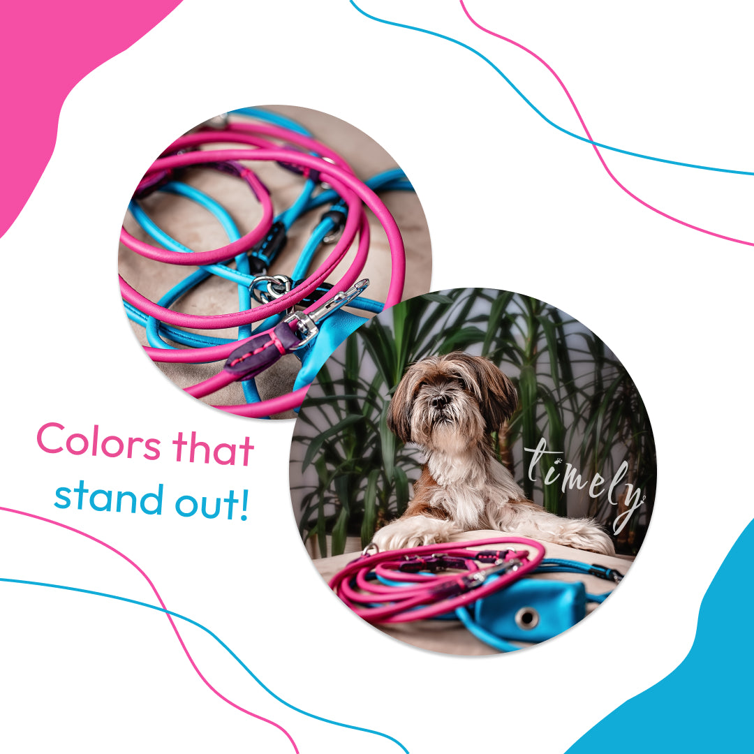 Colors that stand out!