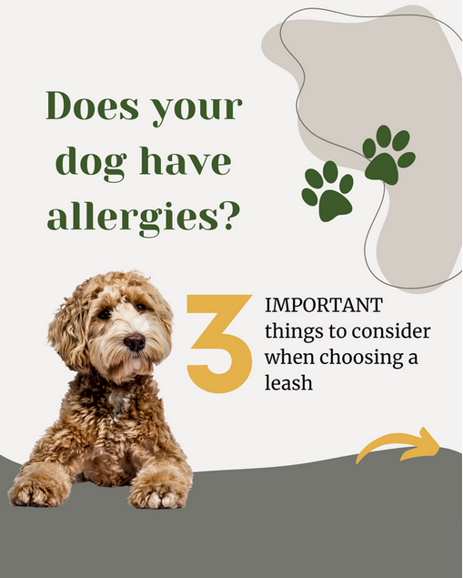 Does your dog have allergies?