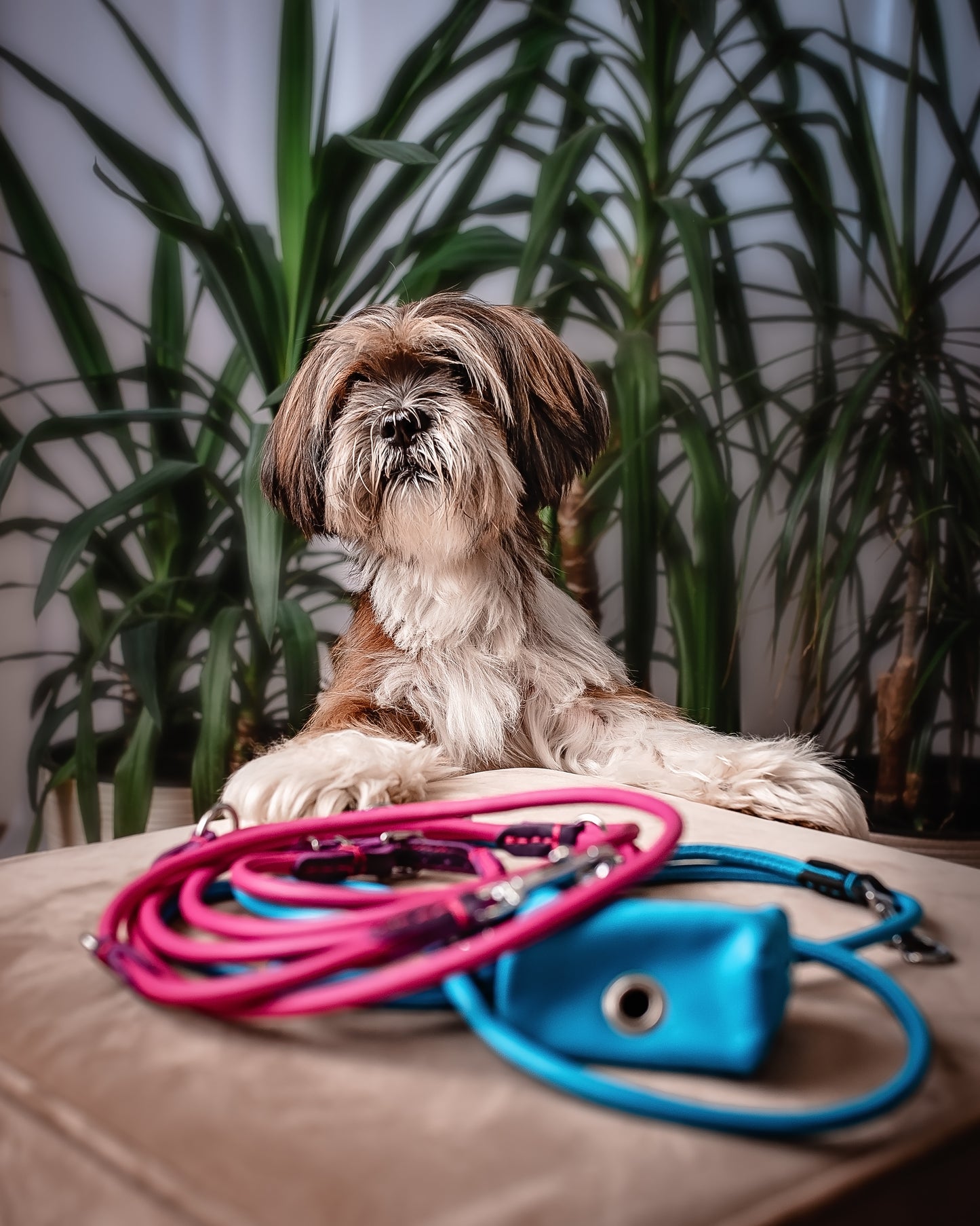 Dog adjustable leash 6mm-220cm Brown antiallergic Hand-sewn made of genuine rounded ITALIAN leather inside stitch. 6 in 1 leash