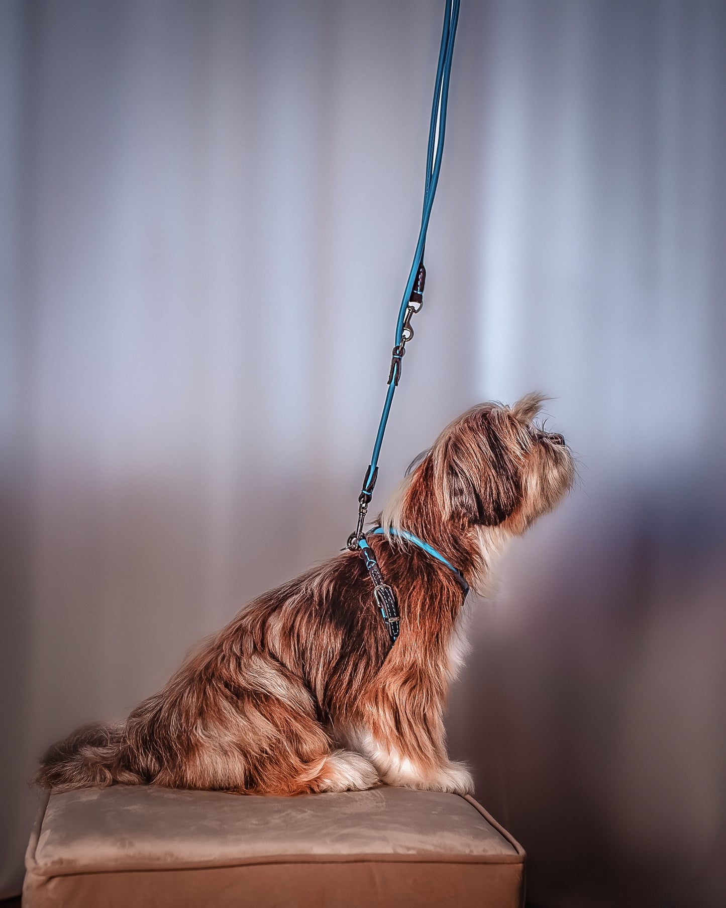 Handcrafted Hypoallergenic No-Pull Dog Harness – Rounded Italian Leather, Prevents Matting & Skin Irritation