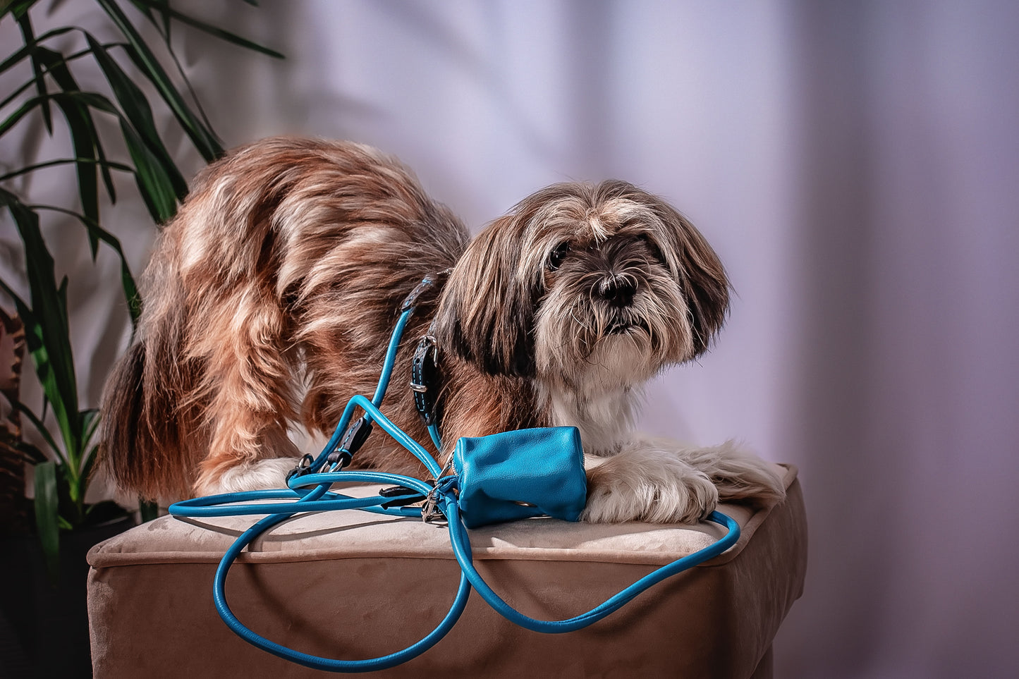 Handcrafted Hypoallergenic No-Pull Dog Harness – Rounded Italian Leather, Prevents Matting & Skin Irritation