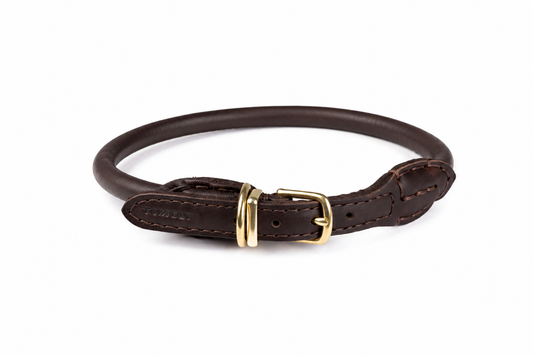 Rolled Leather Collar-Dark Brown