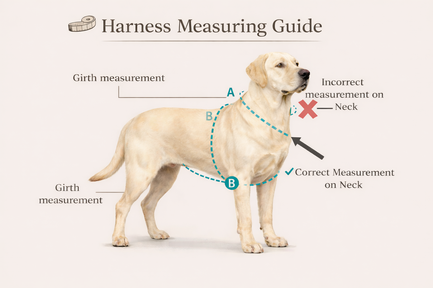 Dog NO PULL Harness RAINBOW  Rope Prevents Matting Hand-sewn